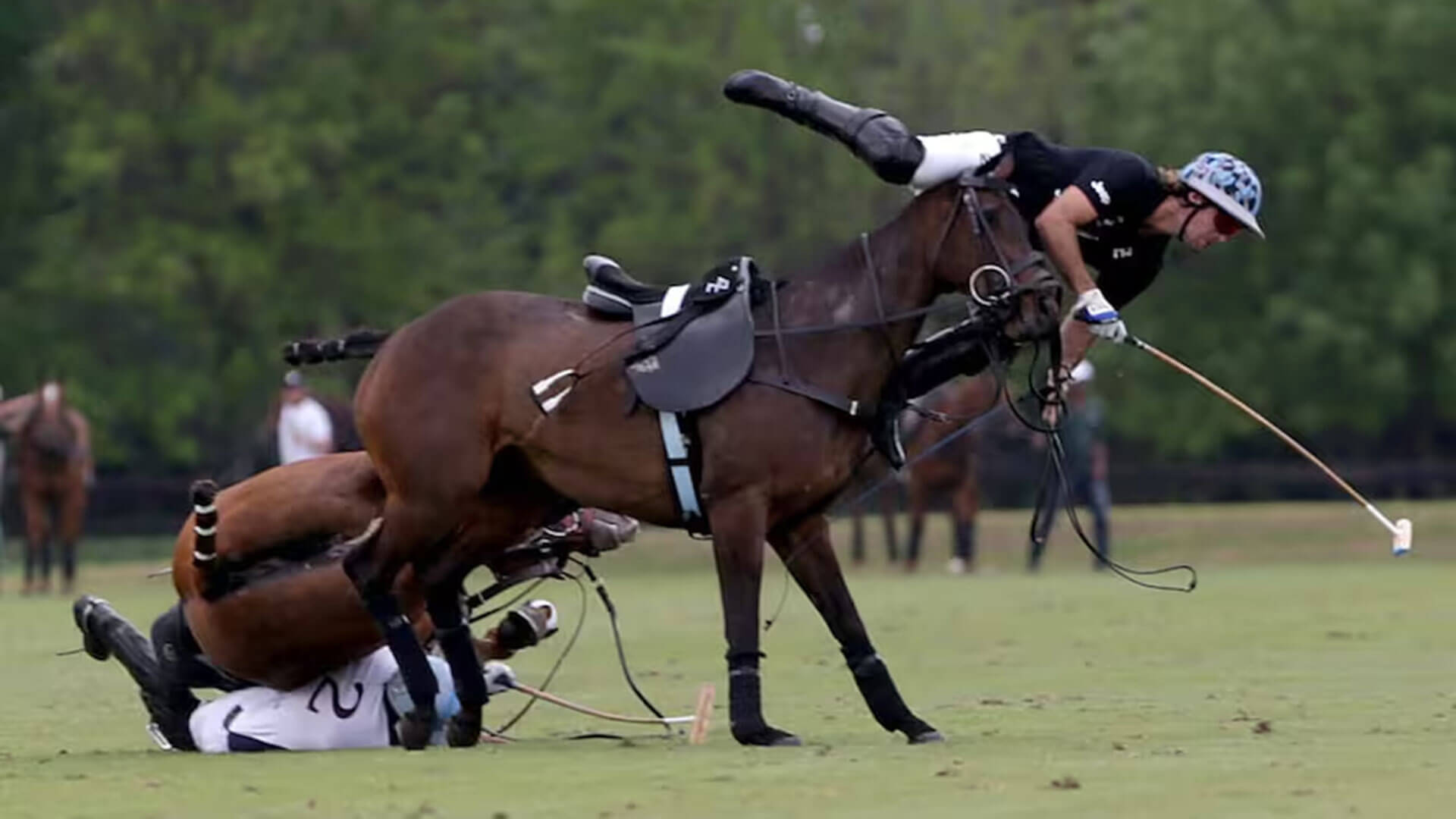 Nos pasaron por arriba (y la policía, también)